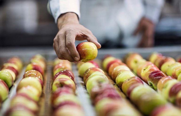 Corporate social responsibility - Food industry