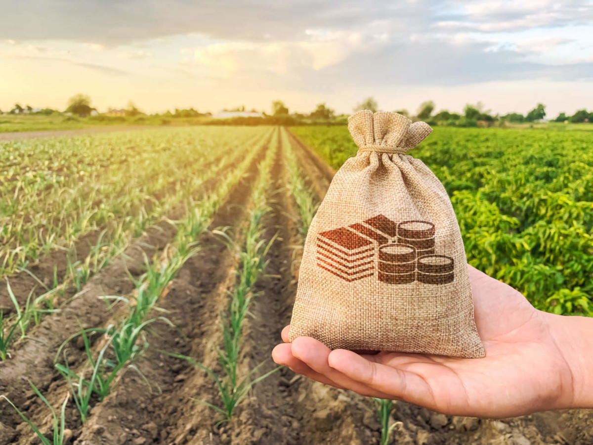 Finanziamenti e contributi per le imprese agricole e il settore food&beverage
