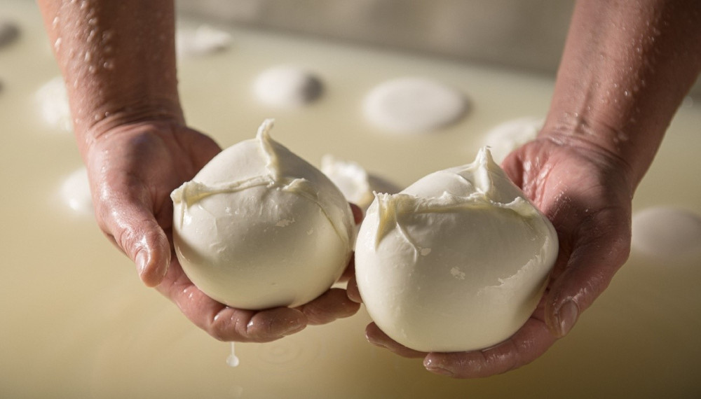 Mozzarella di Bufala PDO: italian excellence