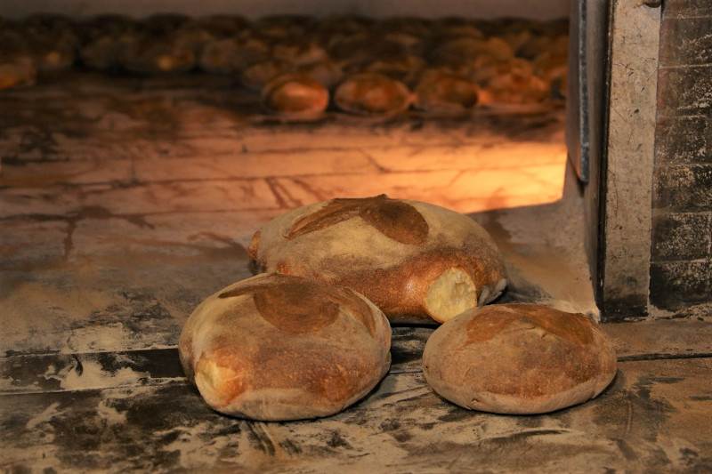 Pane di Laterza
